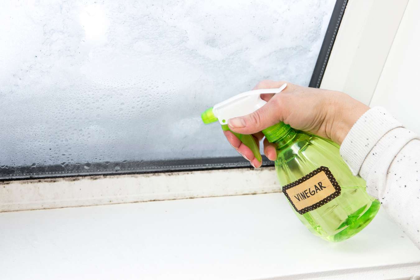 VINEGAR FOR VICTORY