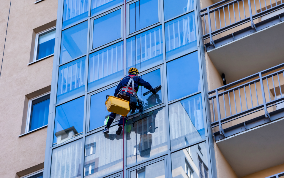 professional window cleaner