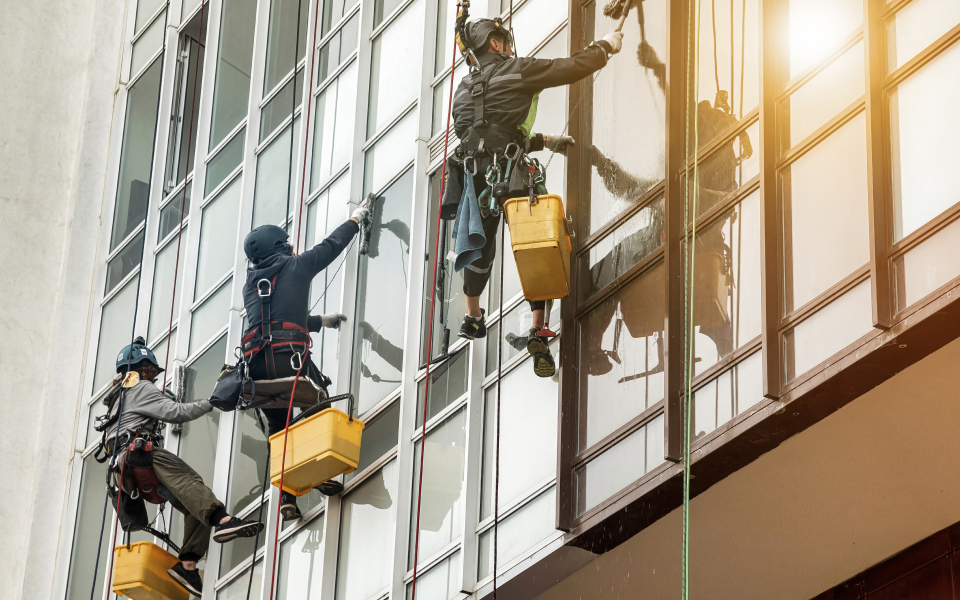 professional window cleaners