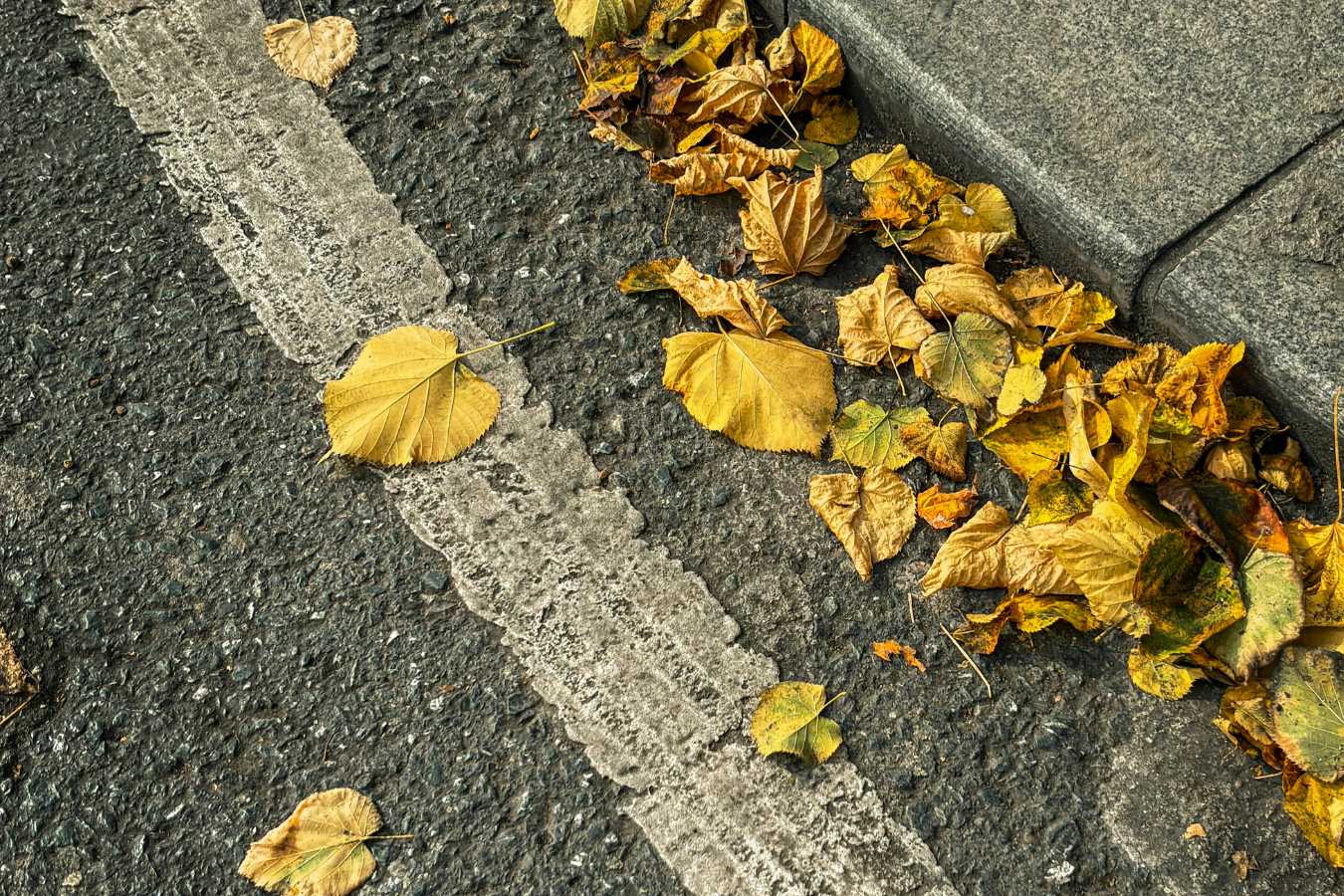 In Blog image (14)